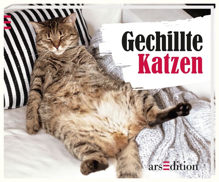 Cover von Gechillte Katzen