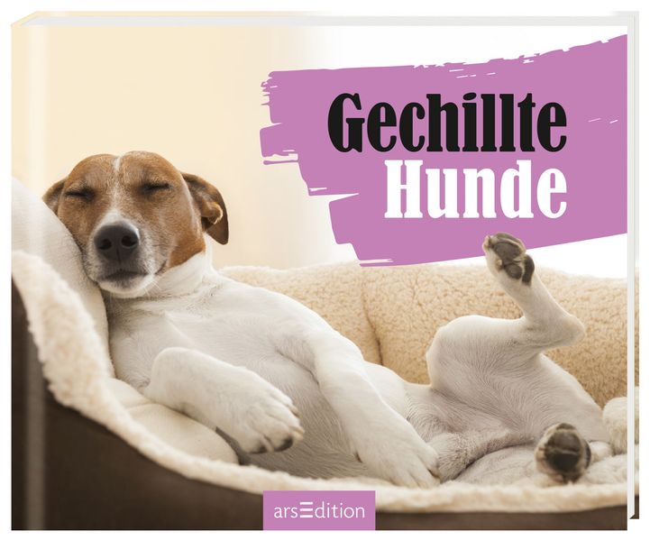 Cover von O SCHLECK!