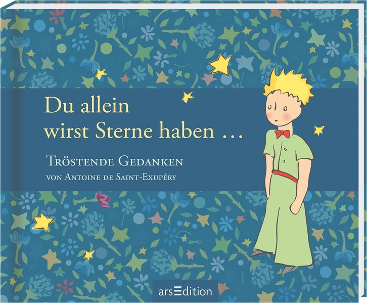 Cover von Du allein wirst Sterne haben …