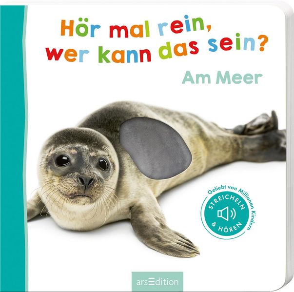 Cover von Hör mal rein, wer kann das sein? Am Meer