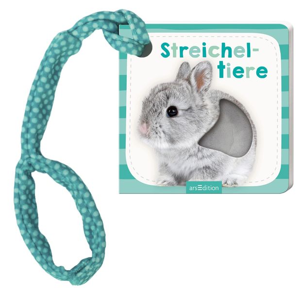 Cover von Mein Foto-Buggybuch Streicheltiere
