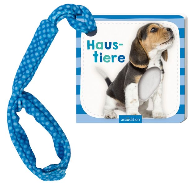 Cover von Mein Foto-Buggybuch Haustiere