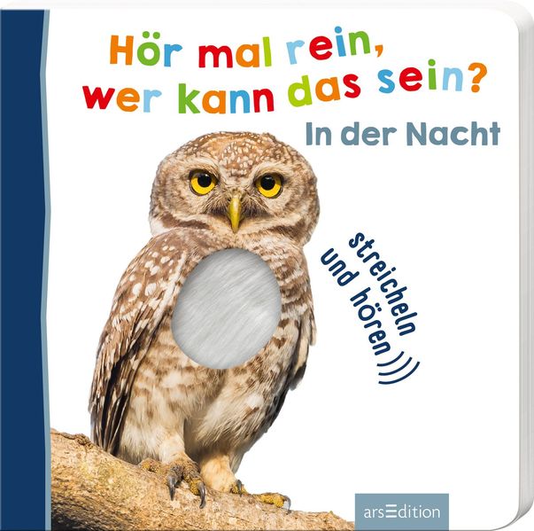 Cover von Hör mal rein, wer kann das sein? In der Nacht