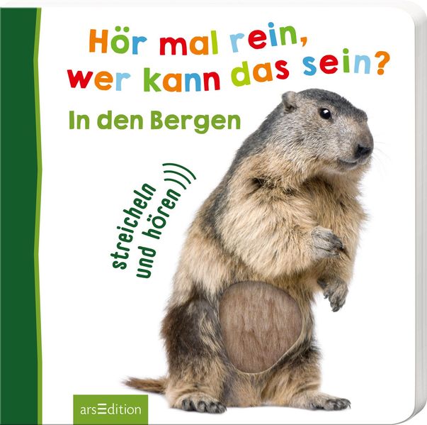 Cover von Hör mal rein, wer kann das sein? In den Bergen