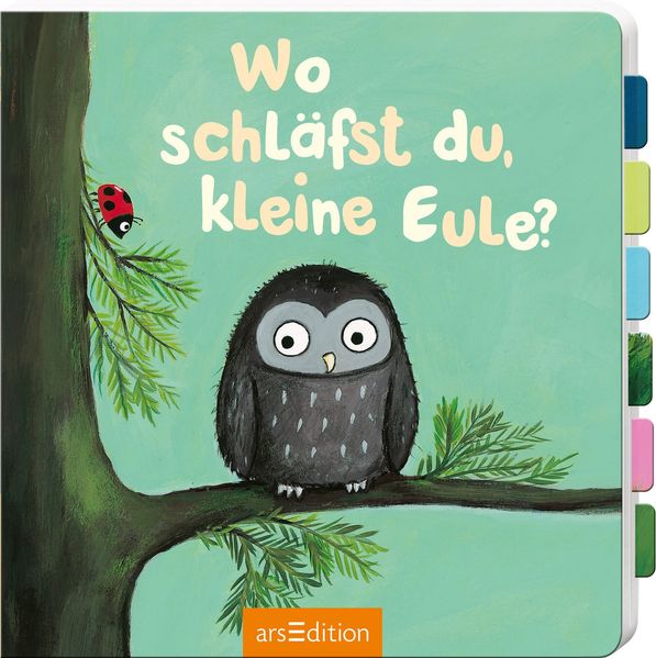 Cover von Wo schläfst du, kleine Eule?