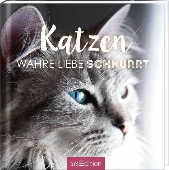 Cover von Katzen