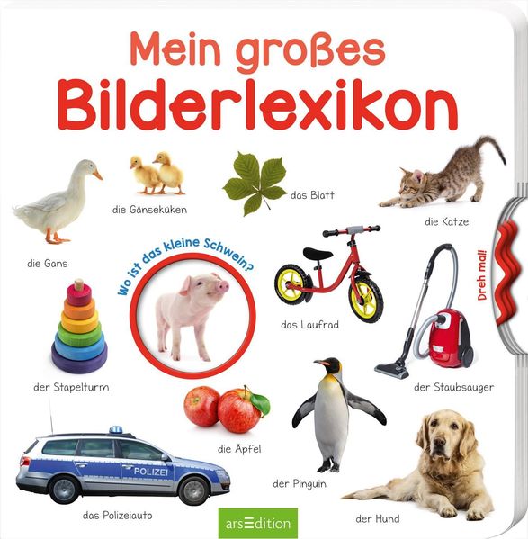 Cover von Mein großes Bilderlexikon