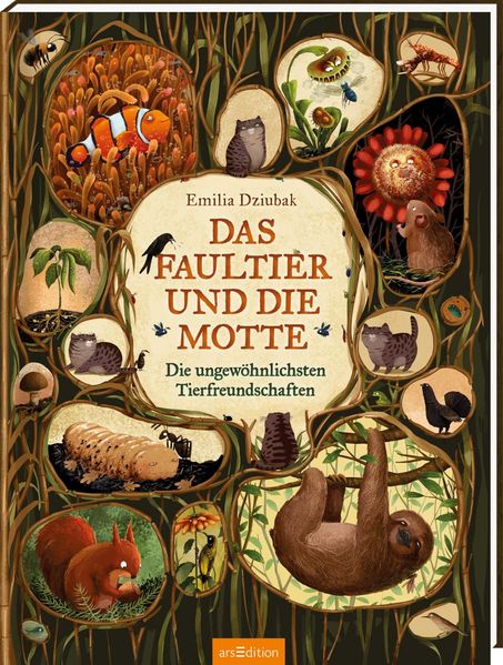 Cover von Das Faultier und die Motte