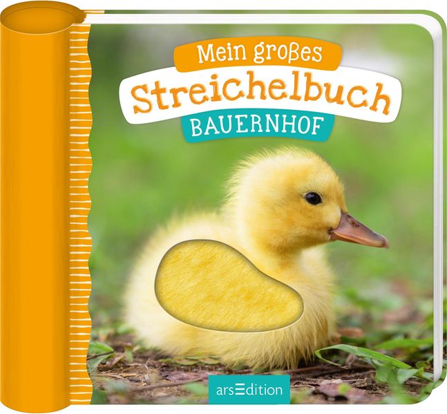 Cover von Mein großes Streichelbuch – Bauernhoftiere