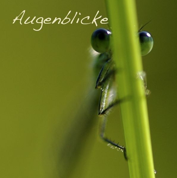 Cover von Augenblicke