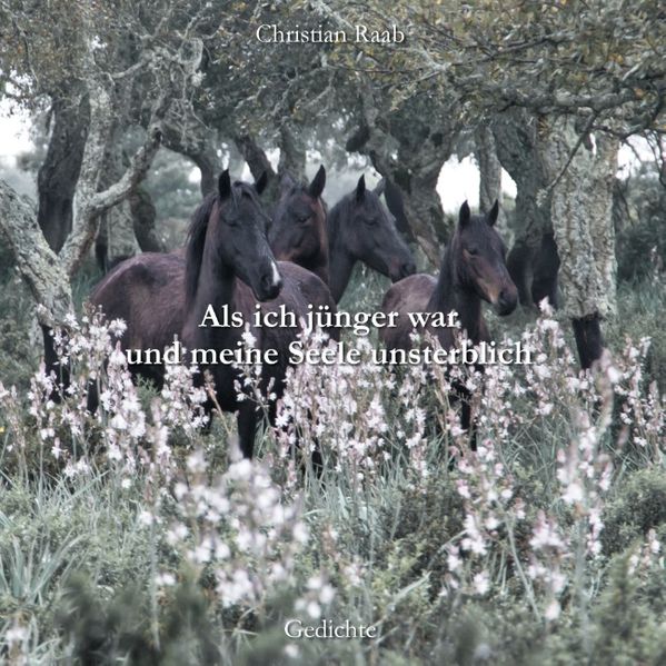 Cover von Als ich jünger war und meine Seele unsterblich