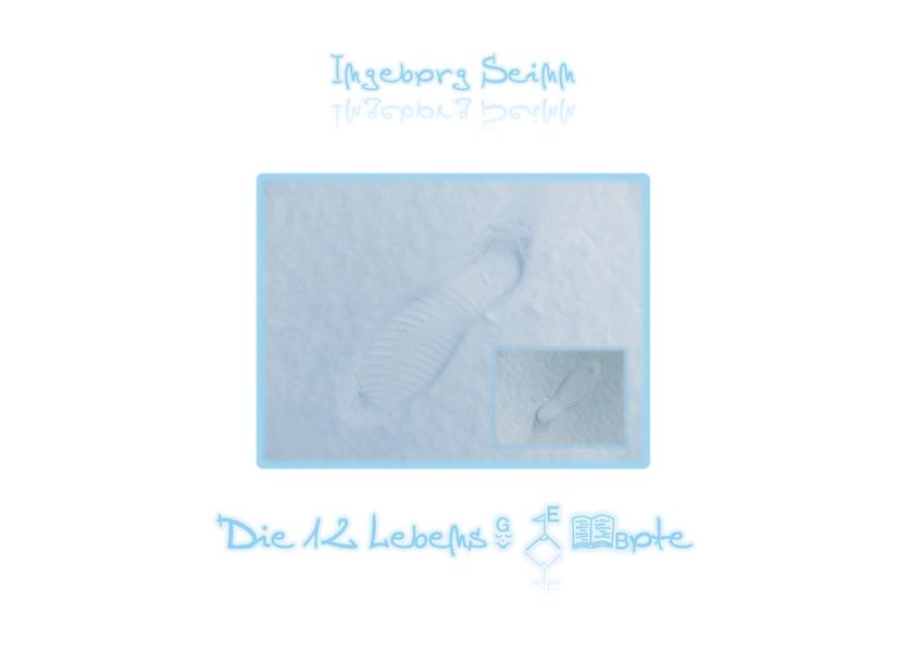 Cover von Die 12 Lebensgebote