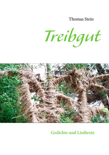 Cover von Treibgut