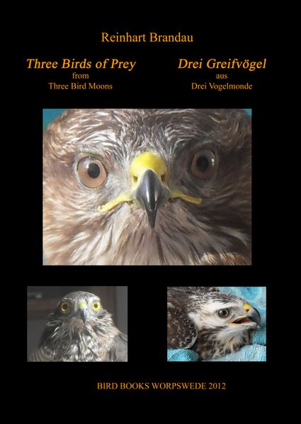 Cover von Three Birds of Prey – Drei Greifvögel