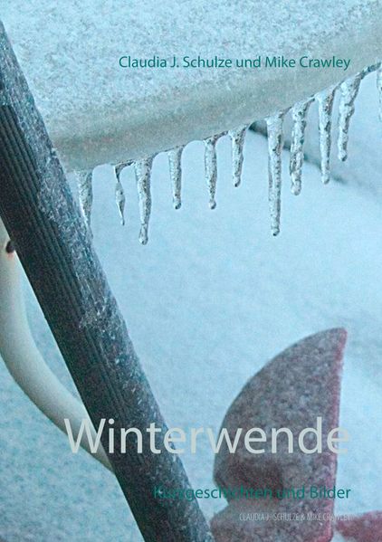 Cover von Winterwende