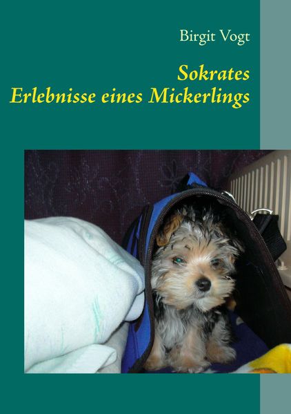 Cover von Sokrates