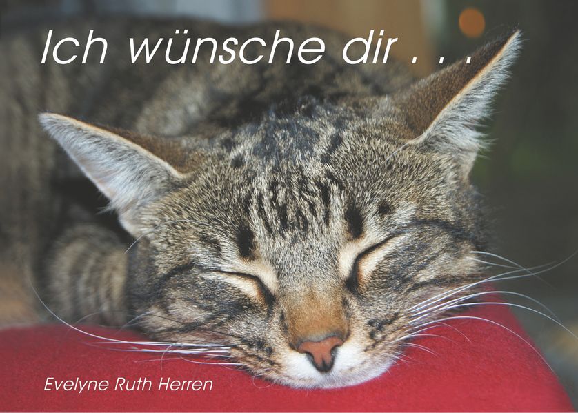 Cover von Ich wünsche dir . . .