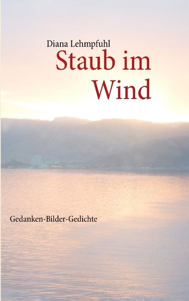 Cover von Staub im Wind