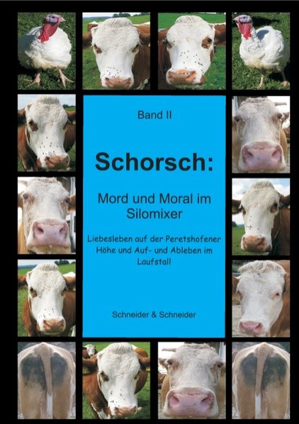 Cover von Schorsch: Mord und Moral im Silomixer
