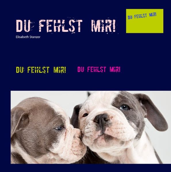 Cover von Du fehlst mir!