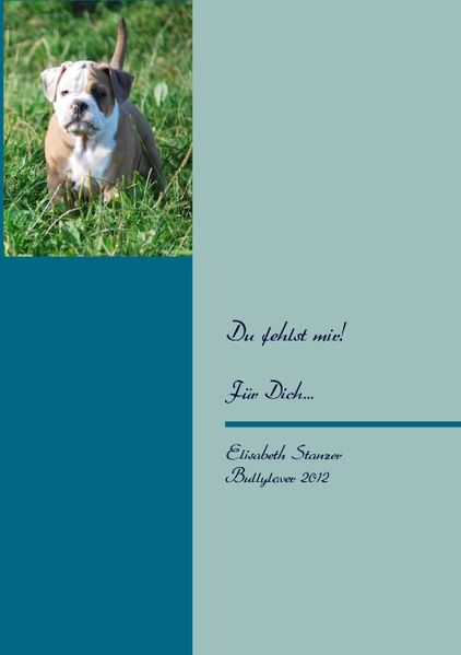Cover von Du fehlst mir!