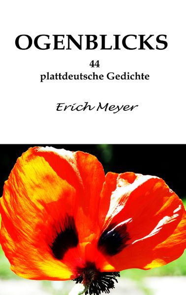 Cover von Ogenblicks