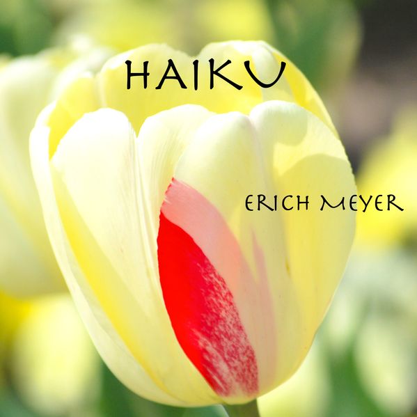 Cover von Haiku