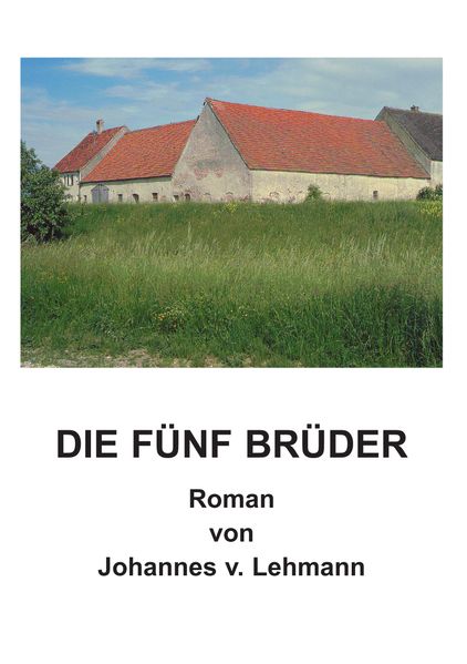 Cover von Die fünf Brüder