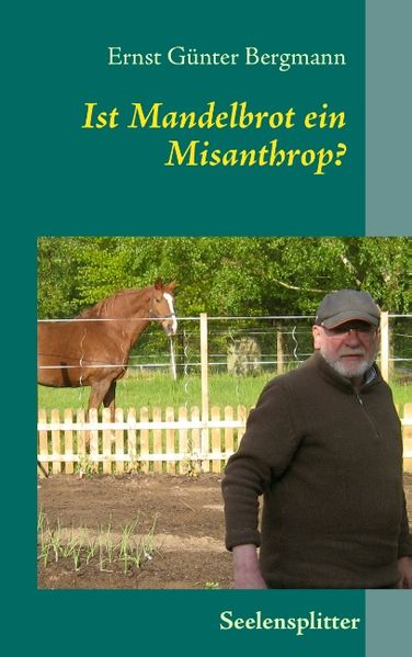 Cover von Ist Mandelbrot ein Misanthrop?