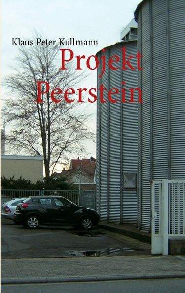 Cover von Projekt Peerstein