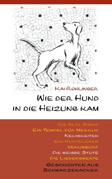 Cover von Wie der Hund in die Heizung kam