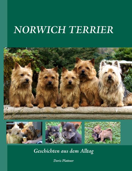 Cover von NORWICH TERRIER