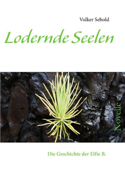 Cover von Lodernde Seelen