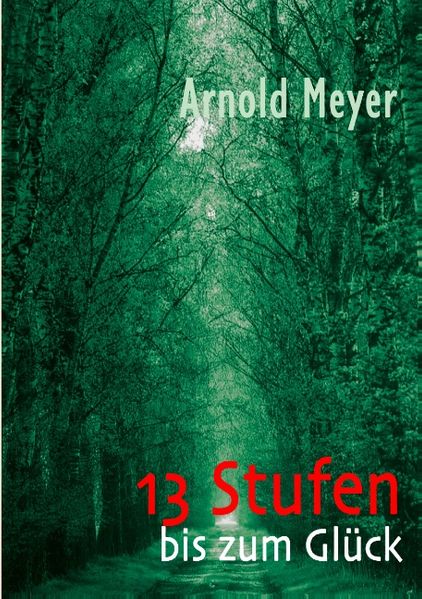 Cover von 13 Stufen
