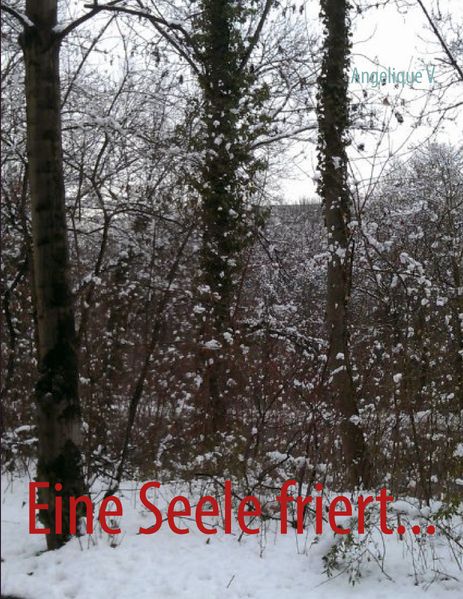 Cover von Eine Seele friert…