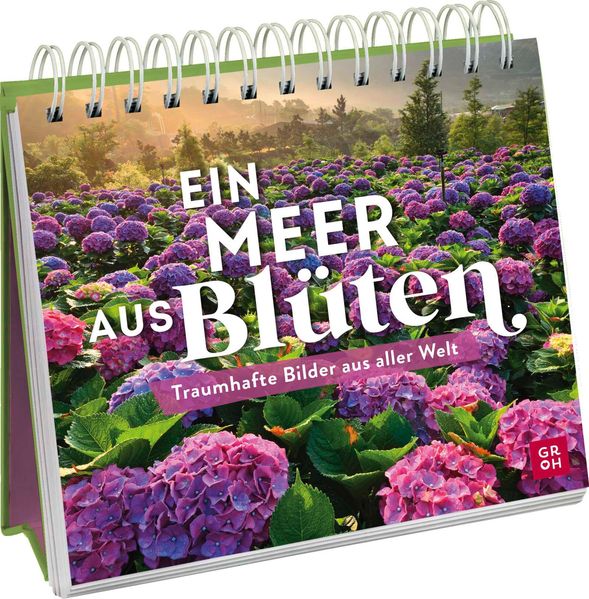 Cover von Ein Meer aus Blüten