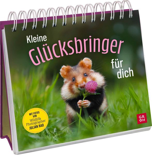 Cover von Kleine Glücksbringer für dich