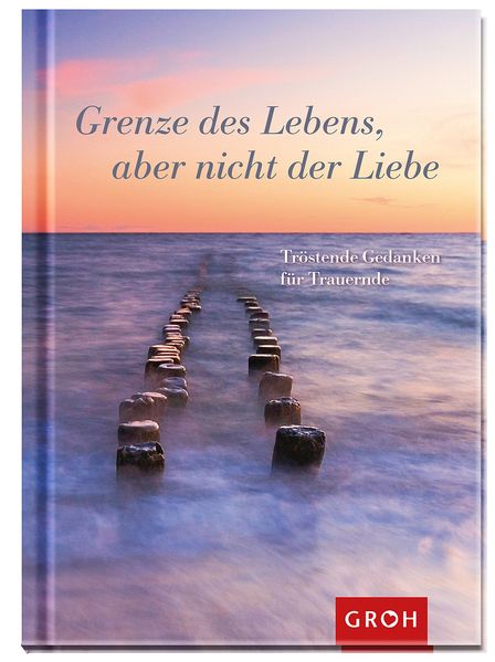 Cover von Grenze des Lebens, aber nicht der Liebe