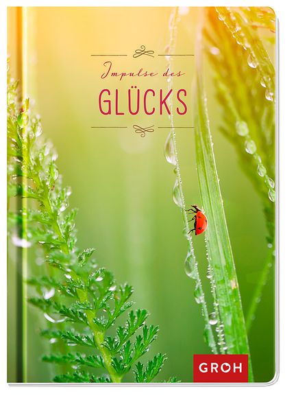 Cover von Impulse des Glücks