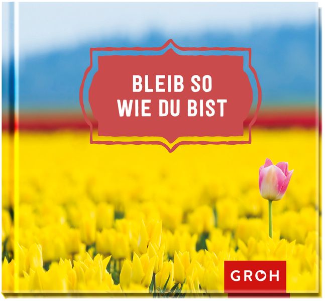Cover von Bleib so wie du bist