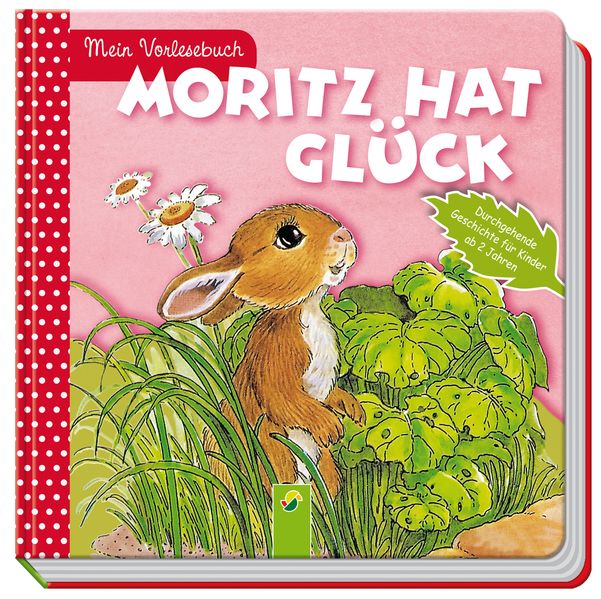 Cover von Moritz hat Glück