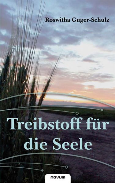 Cover von Treibstoff für die Seele