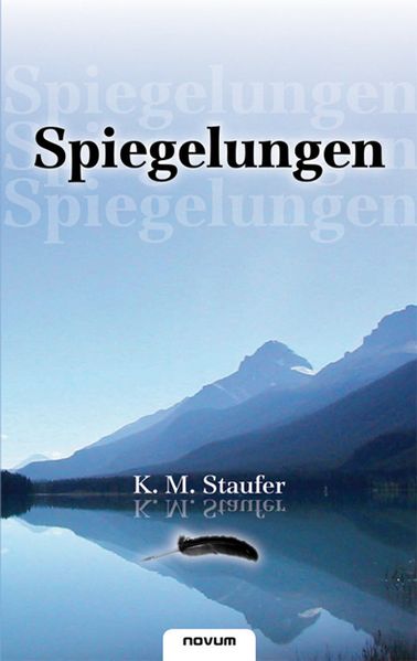 Cover von Spiegelungen