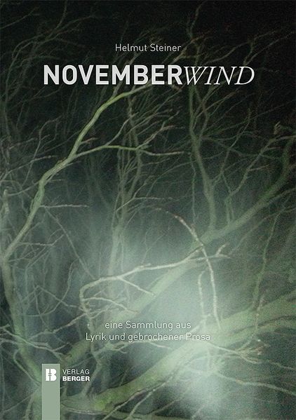 Cover von Novemberwind