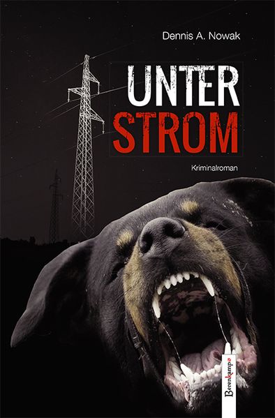 Cover von Unter Strom