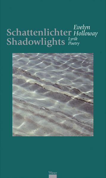Cover von Schattenlichter