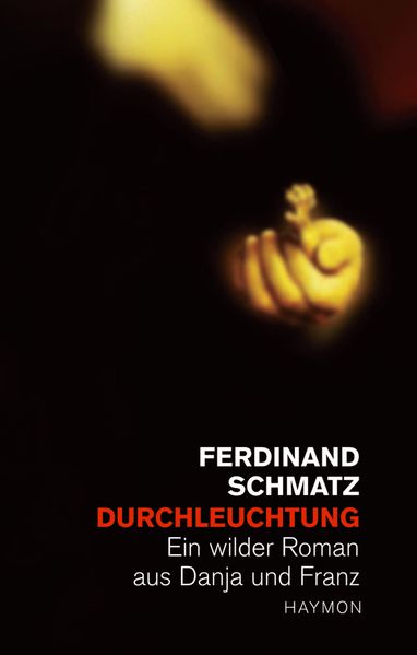 Cover von Durchleuchtung