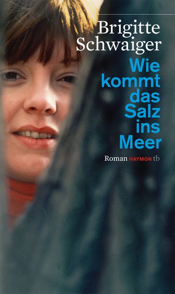 Cover von Wie kommt das Salz ins Meer