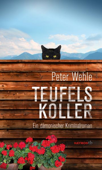 Cover von Teufelskoller