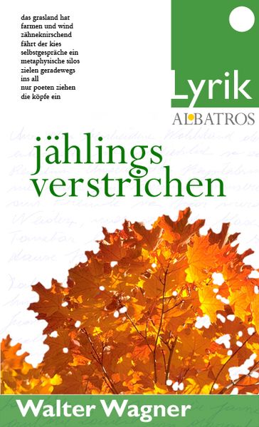 Cover von jählings verstrichen
